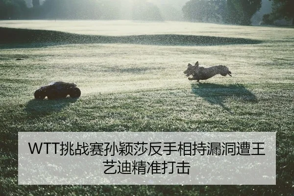 tiao-zhan-sai-sun-ying-sha-fan-shou-xiang-chi-lou-dong-zao-wang-yi-di-jing-zhun-da-ji-2-604.jpg